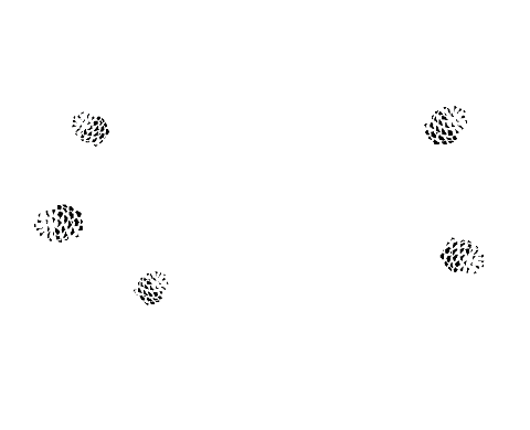 10-mlff-audience-award