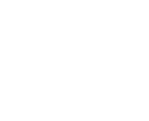 16-dokufest